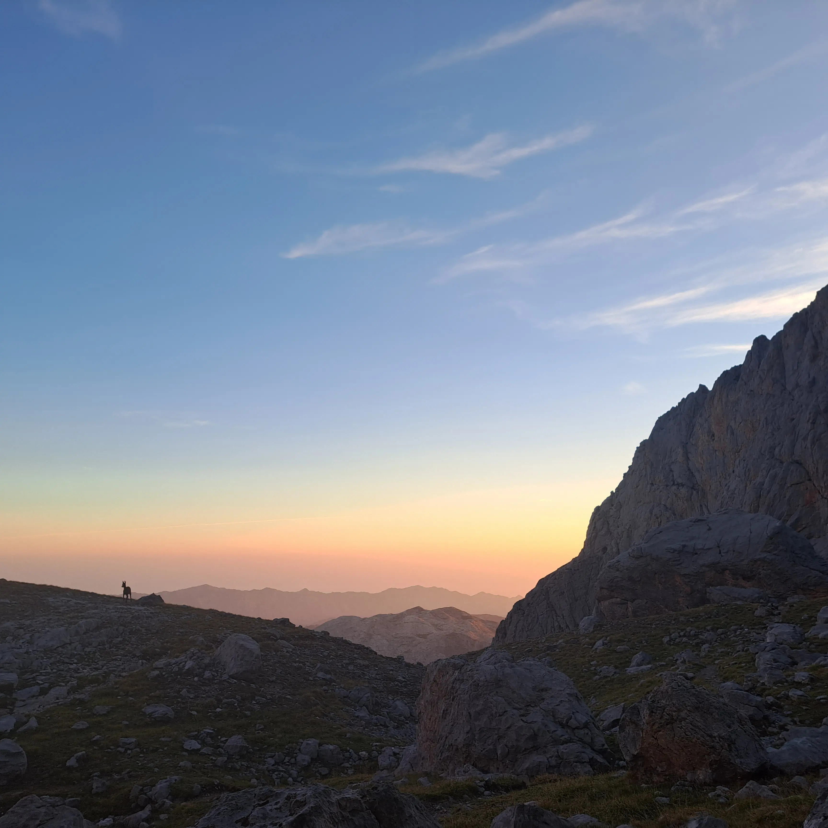 Paisaje al atardecer